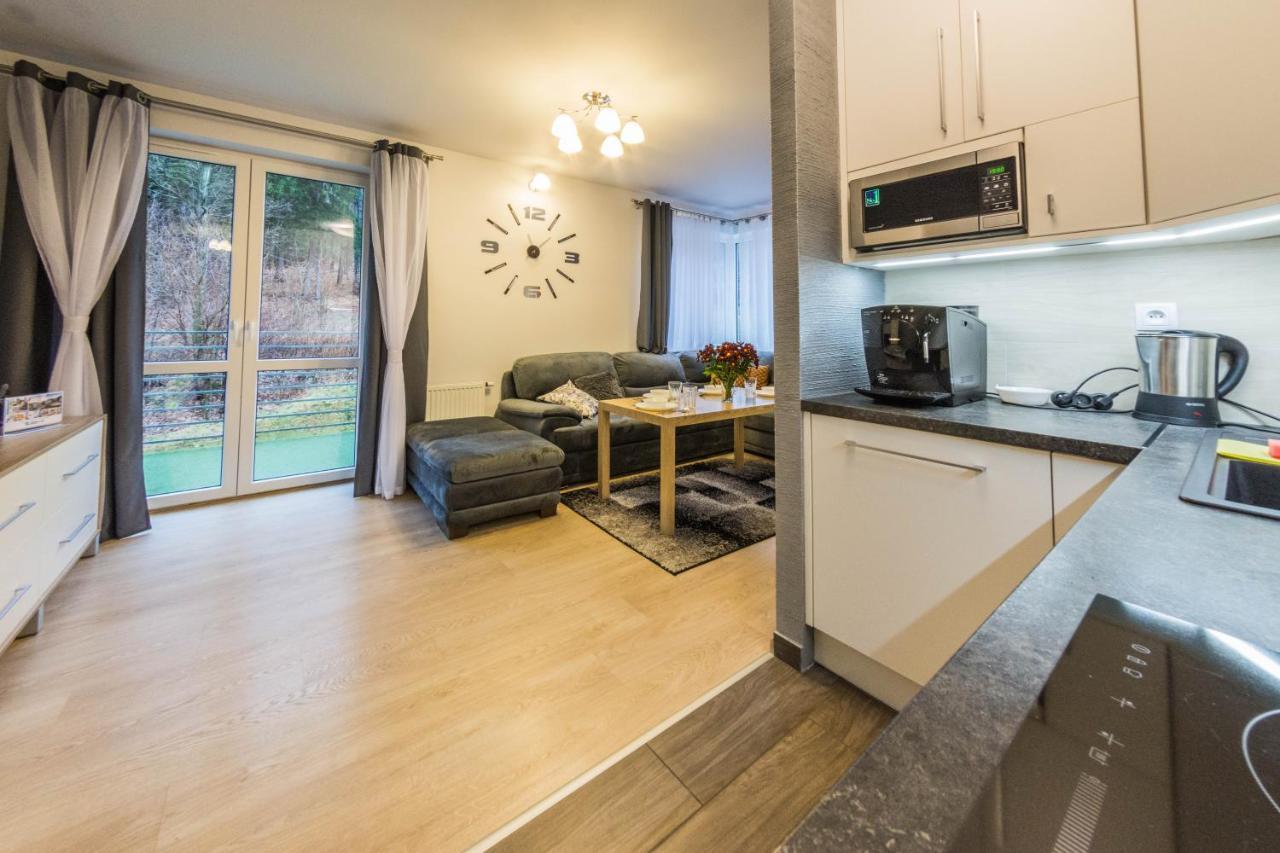 Apartamenty Izerskie - Ul. Cicha 13D-E Świeradów-Zdrój Екстериор снимка